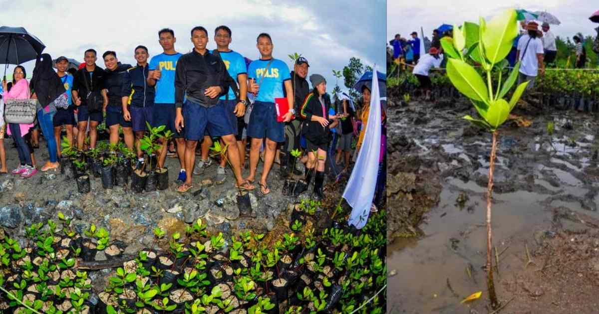 Taking Care of Nature + Palawan's Unique Values: Shaped by Its People and Culture