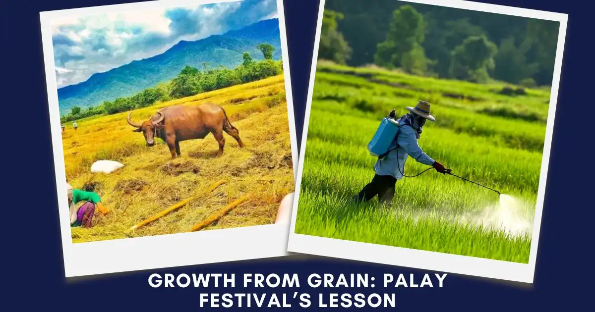 Grow like nurtured rice grains