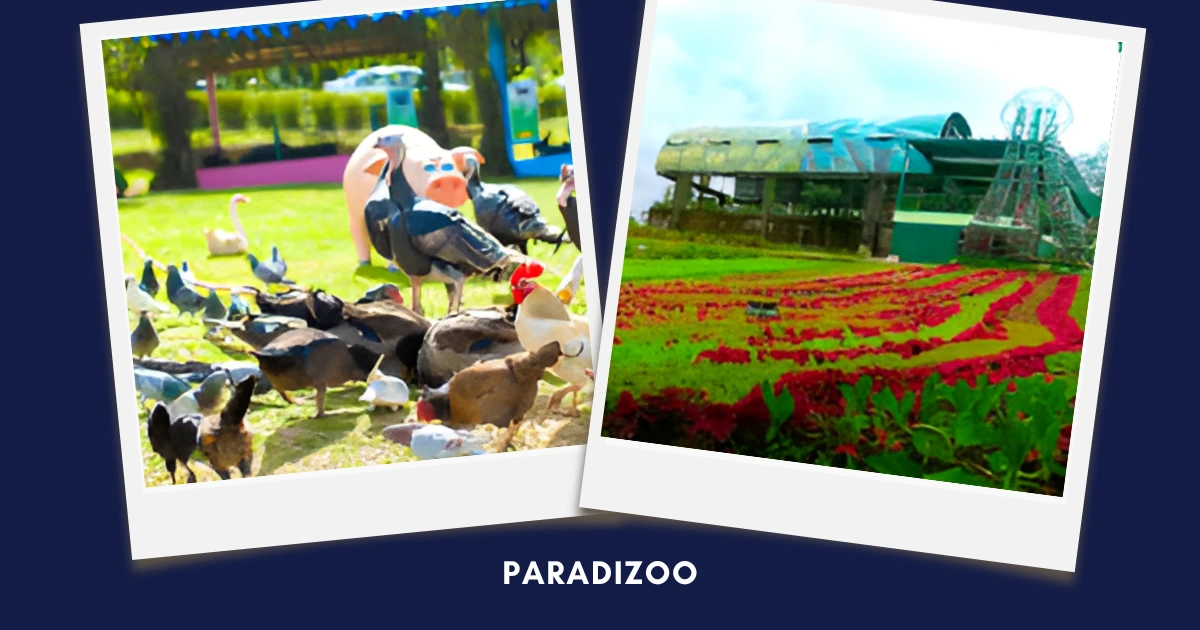 Polaroid-style collage of a farm animal zone and flower garden on deep blue background