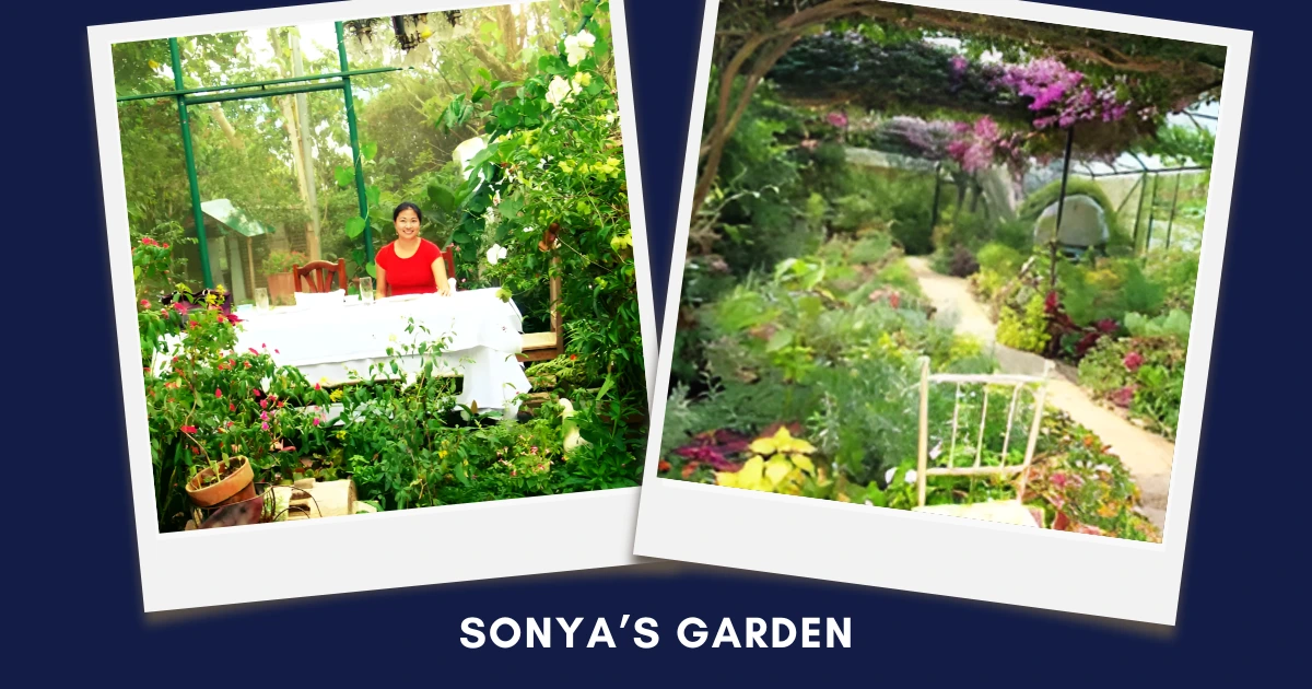 Polaroid-style collage of lush garden paths and floral dining setup on deep blue background