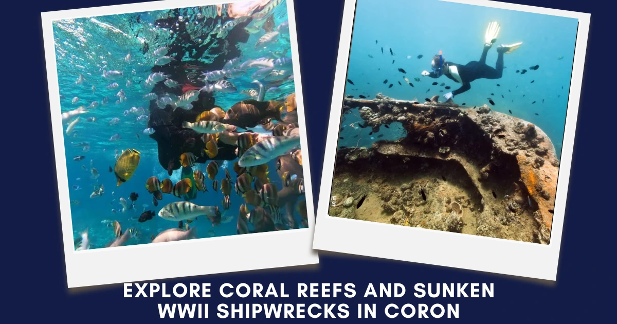 Polaroid-style collage of a snorkeler with fish and a diver exploring a sunken shipwreck