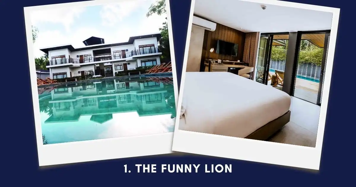 The Funny Lion