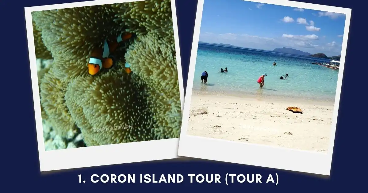Coron Island Tour (Tour A)