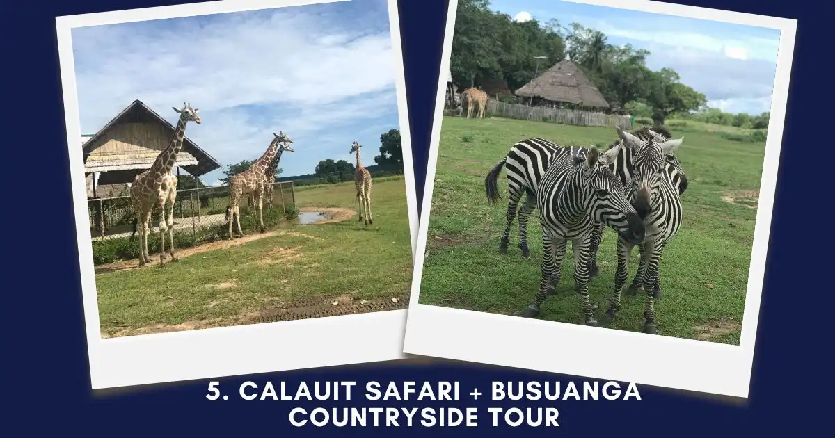 Calauit Safari + Busuanga Countryside Tour