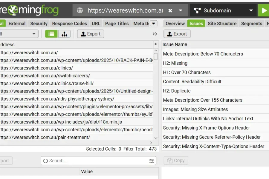 Screaming Frog SEO Audit Issues Report